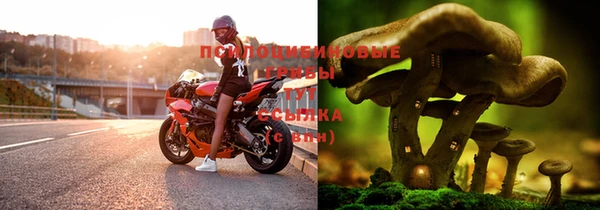меф Арсеньев
